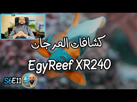 511 كشافات المرجان  240