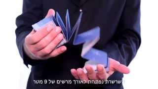 The Chain of Generations