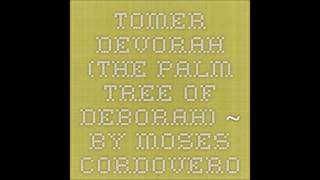 🌴Tomer Devorah🌴 Day 1-With Introduction🐝