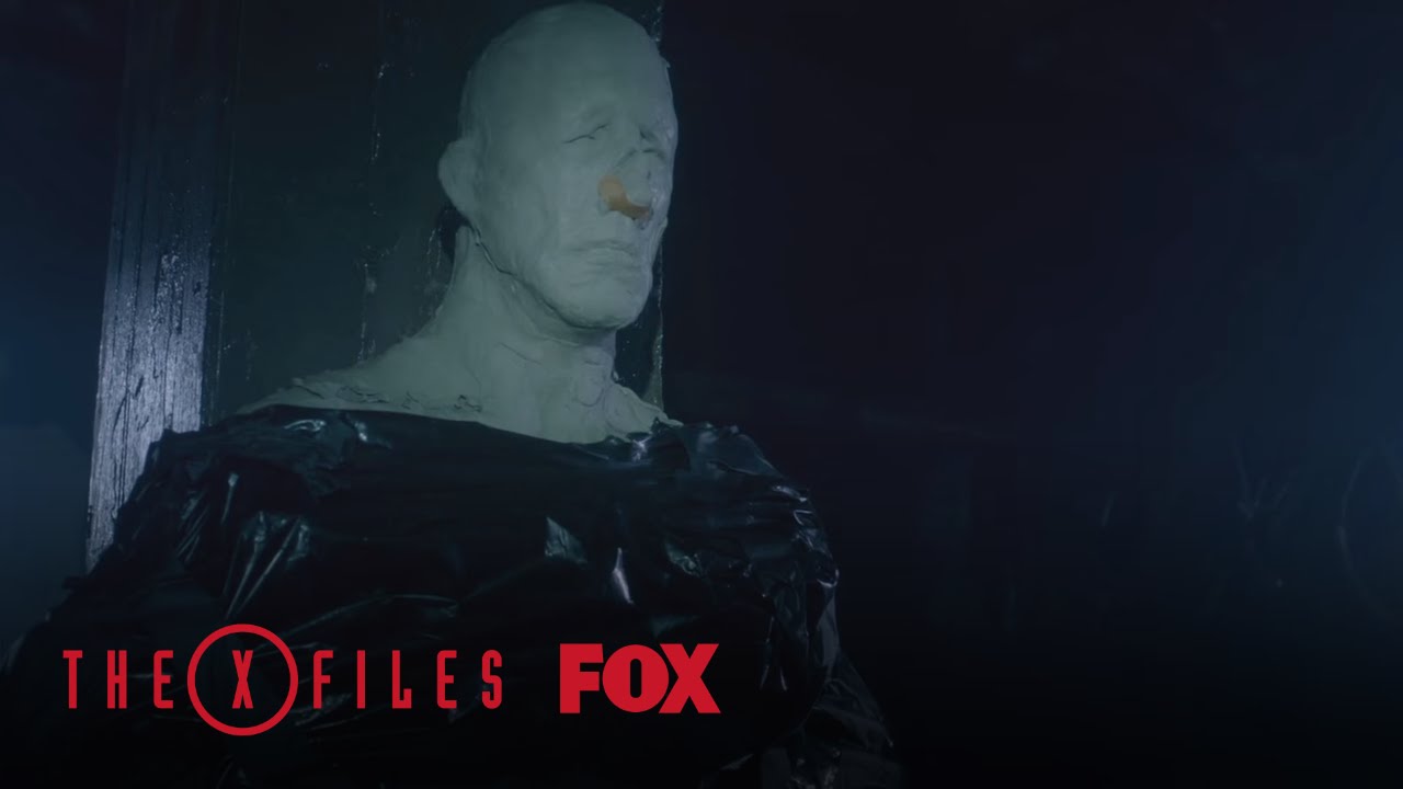 Download Scully And Mulder Find A Man In Hiding | Season 10 Ep. 4 | THE X-FILES