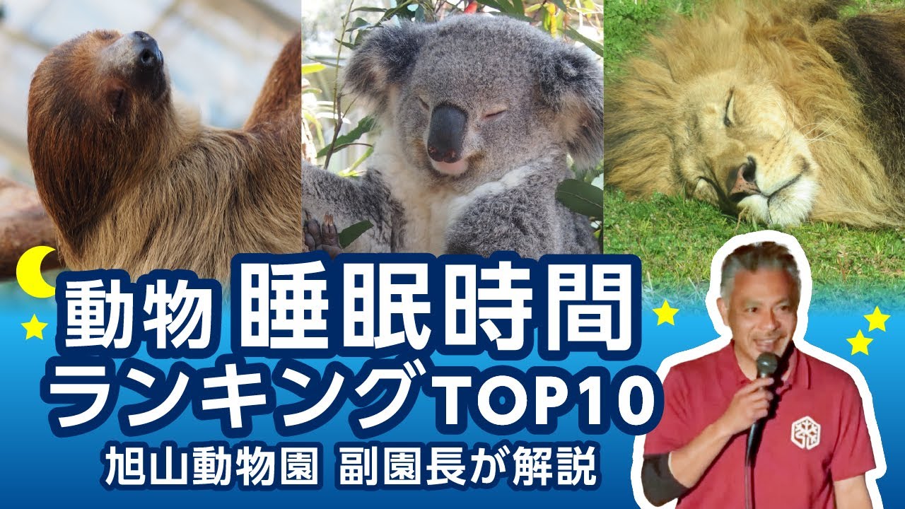 【掘出し映像】動物 睡眠時間ランキング！旭山動物園 中田副園長がわかりやすく解説！！’16年6月 YouTube