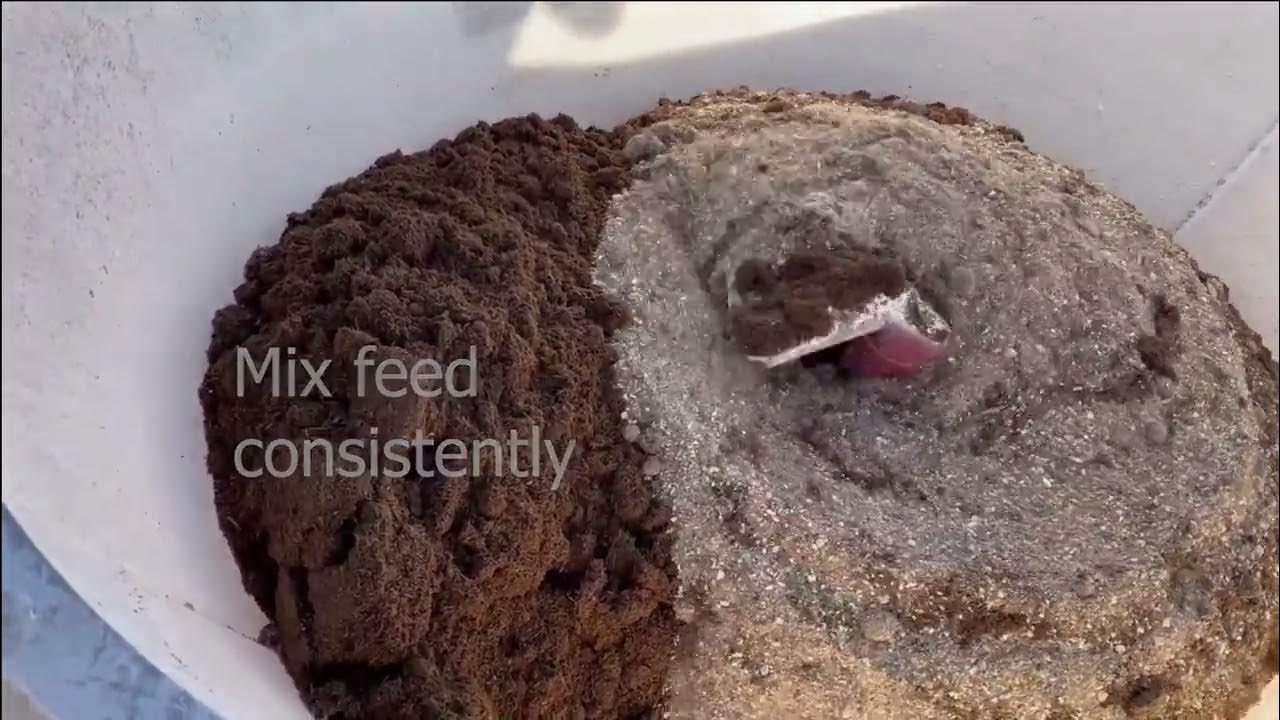 Jaylor 5050 mini TMR mixer YouTube