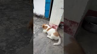 Giận Ai Vậy Lu Phạm Cuộc Sống Quanh Ta