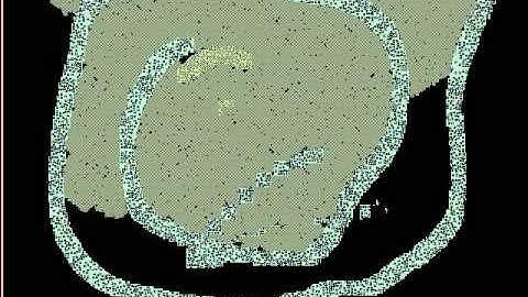 Demo of automata generating DSL automata-out-29.ogv