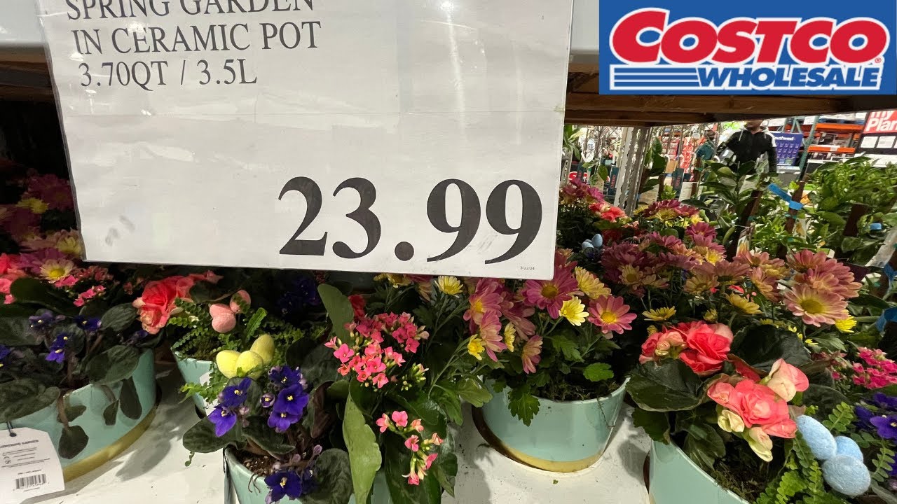 COSTCO FLOWERS, PLANTS EASTER YouTube