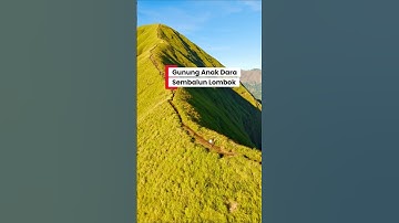 Gunung Anak Dara Sembalun Lombok NTT #drone #gunung #sembalunlombok #shorts