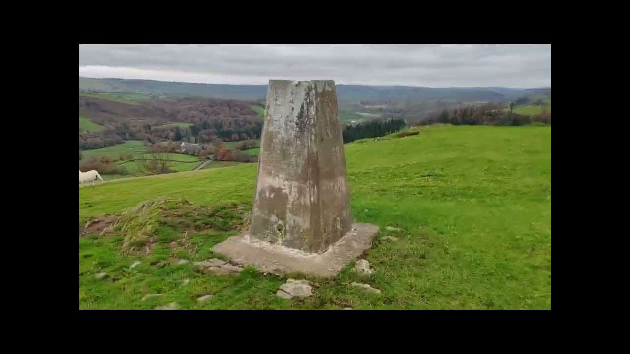 Dolaucothi woodland wander 
