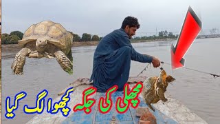 Machli ki jga kacva lg gya🐢🐢||hook fishing ||big fish || crop fish