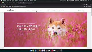 Introduction to UI & Visual Design Principles
