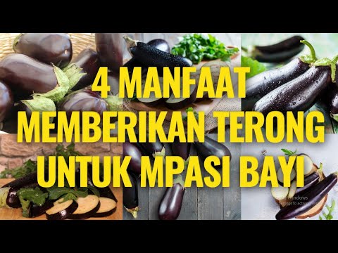 Resep Terong Untuk Anak 1 Tahun
