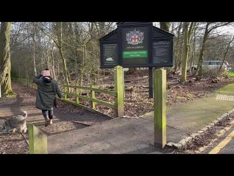 Winter Walk in Epping Forest | During Lockdown | ENGLAND