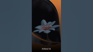 حُنَفَآءَ لِلَّهِ غَيْرَ مُشْرِكِينَ بِهِۦ ۚ  // القارئ راشد الحليبة - آيات من كتاب الله
