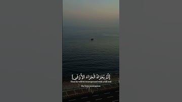 وَأَن لَّيْسَ لِلْإِنسَانِ إِلَّا مَا سَعَىٰ|سورة النجم#quran #قرآن #تلاوة