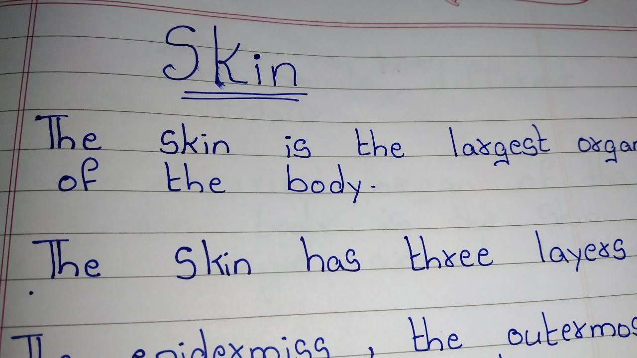 essay on skin care