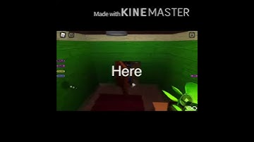 How to get Paul penguin badge in piggy rp Infection