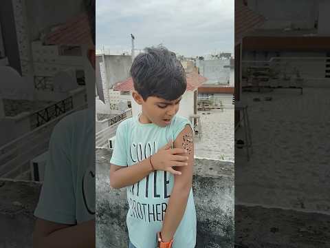 Amaira ko ye