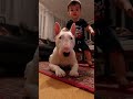 Heartwarming Dog Moments with Kids | Friendship, Loyalty & Love