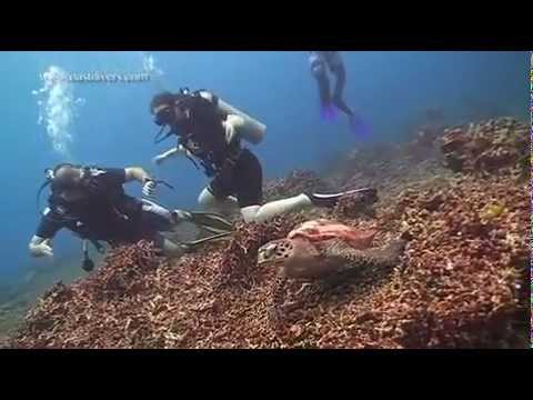 Liveaboard trip 6-10 December 2012 - Part 2