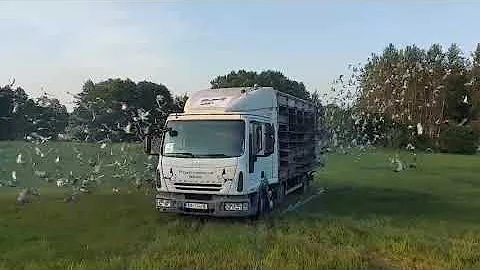 video 621b4d7f66411928f72365649ed9f59b V