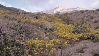 The Bottom Of The World: Exploring Earths Lowest Places