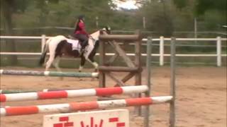 Santa Fe - Gerard Polizzi - CEM - Affitto e Commercio Pony e Cavalli screenshot 4