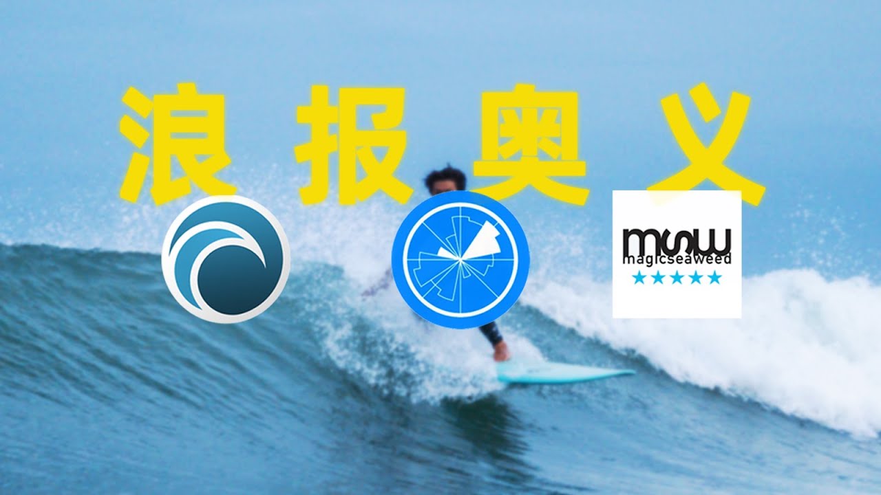 【教你浪】教你掌握衝浪浪報的正確打開方式！從此以後只衝好浪