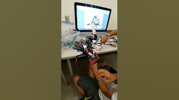 Scorpion Bot In Process