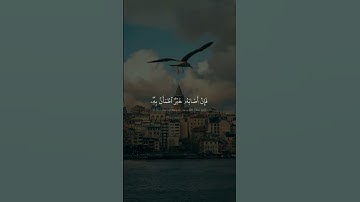 وَمِنَ ٱلنَّاسِ مَن يَعۡبُدُ ٱللَّهَ عَلَىٰ حَرۡفٖۖ | محمد صديق المنشاوي | سورة الحج