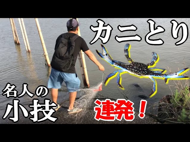 カニ網を投げ続けて連発して釣る 人気のイシガニ ガザミの取り方 挟まれないマル秘テクニック Youtube