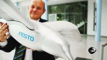 How Does This Robobird Fly? | Outrageous Acts of Science