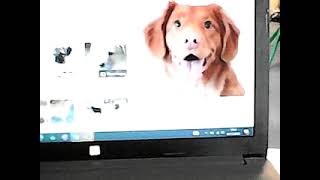 MOV 0000038