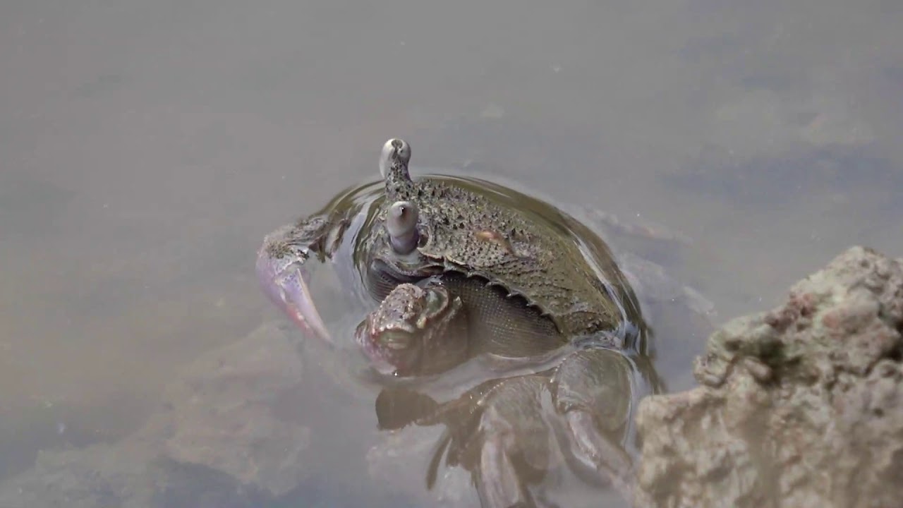 Selayang Pandang Kabupaten Sukamara