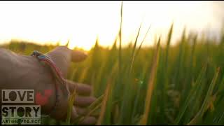 story' wa sunrise