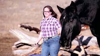 Compassion And Horses At United In Light, Draft Horse Sanctuary 2026 Located In Livingston, Montana.