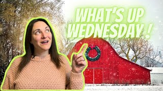 Things To Do In CT - December 2021