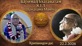 Шримад Бхагаватам 8.1.3 Шридхама Маяпур | Крипанидхи дас