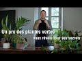 Masterclass avec pierre le cultivateur  entretenir ses plantes vertes dintrieur