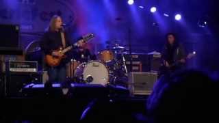 Gov't Mule- Get behind the Mule
