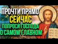 ПРОЧТИ ПРЯМО СЕЙЧАС И ПОПРОСИ О САМОМ ГЛАВНОМ. Молитва ко Господу Иисусу