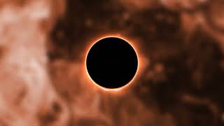 Top Music 2024- Nm - Let Me Electronic Music