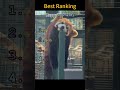 Is it legal to keep red pandas as pets?#funny #foryou #funnyvideo #fyp #fun #funnytiktok #cute