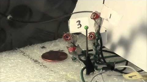 Teleoperated Concentric Tube Robot Performing Positioning Task