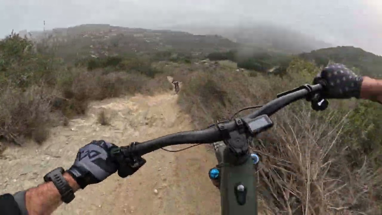 Aliso MTB - Off Menu & Telonics - 11.8.25