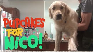 Baking Pumpkin Carrot Pupcakes for Nicos 3rd Birthday