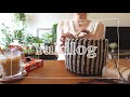 sub/vlog»麻紐で大人バッグを編んで、プラムシロップを仕込む🍑日常vlog