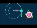 Hewitt-Drew-it! PHYSICS 37.Centripetal Force