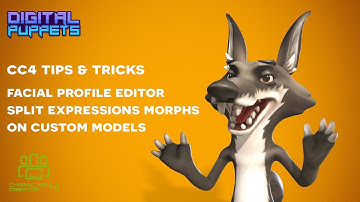 Character Creator 4 Tutorial - Facial Profile Editor - Split Morphs for Custom Model