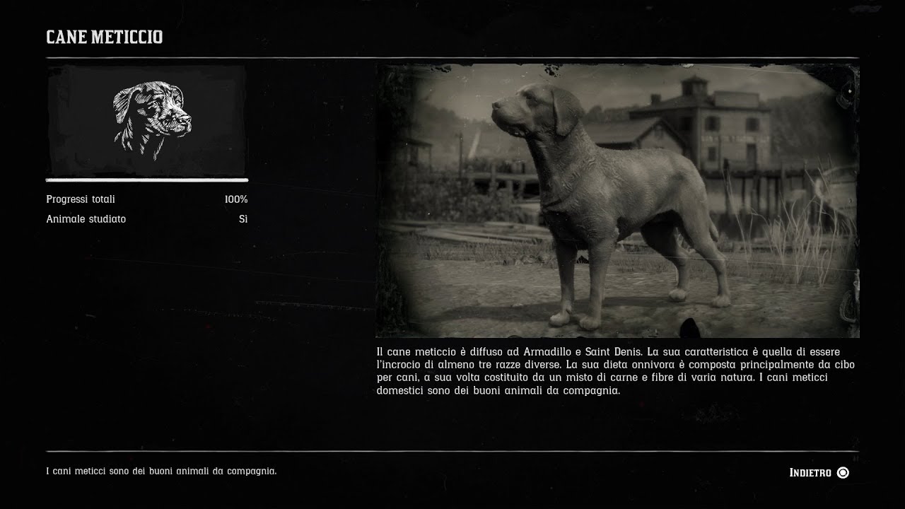 Red Dead Redemption 2 Where to find a Mutt dog YouTube