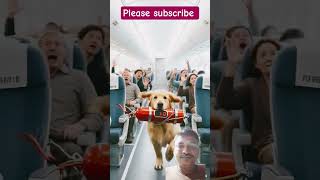 Dog saves lives of millions of passengers on airplanes 😭 #ai #dog #airplane #goldenretriever#shorts