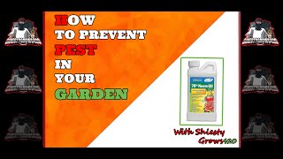 How To Prevent Pest: GARDEN Tips by Shiesty